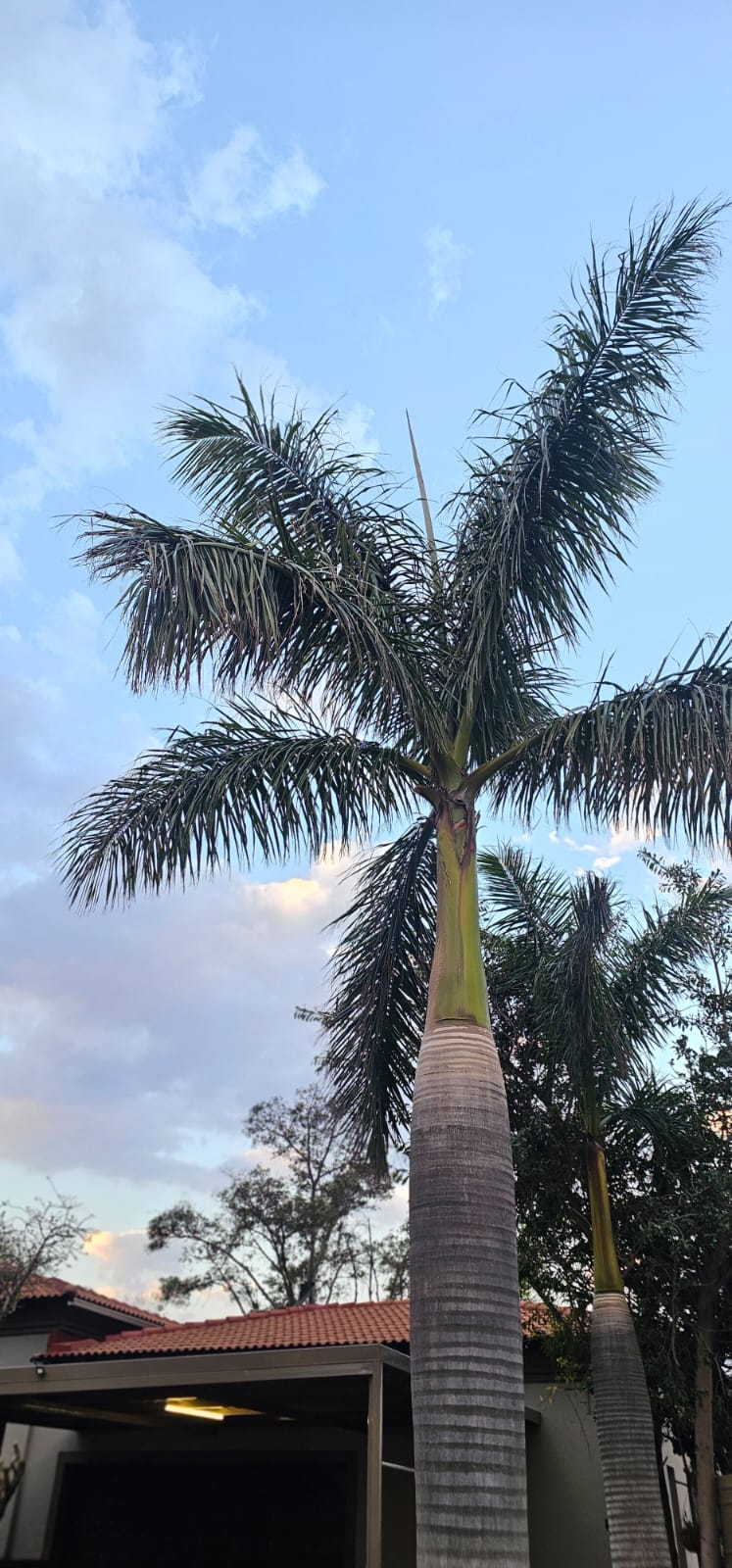 4 Bedroom Property for Sale in Cashan North West